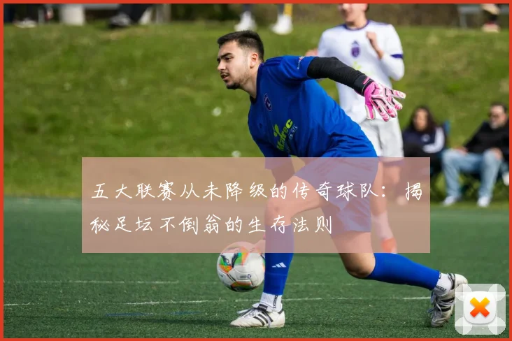 五大联赛从未降级的传奇球队：揭秘足坛不倒翁的生存法则